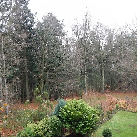 Ferienwohnung Waldoase Am Fuchsenstein ชปีเกอเลา ภายนอก รูปภาพ