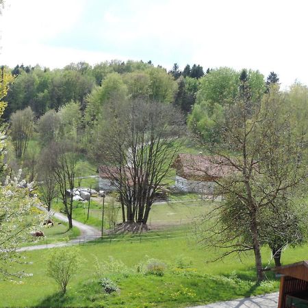 Ferienwohnung Waldoase Am Fuchsenstein ชปีเกอเลา ห้อง รูปภาพ