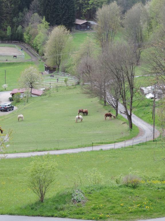 Ferienwohnung Waldoase Am Fuchsenstein ชปีเกอเลา ภายนอก รูปภาพ