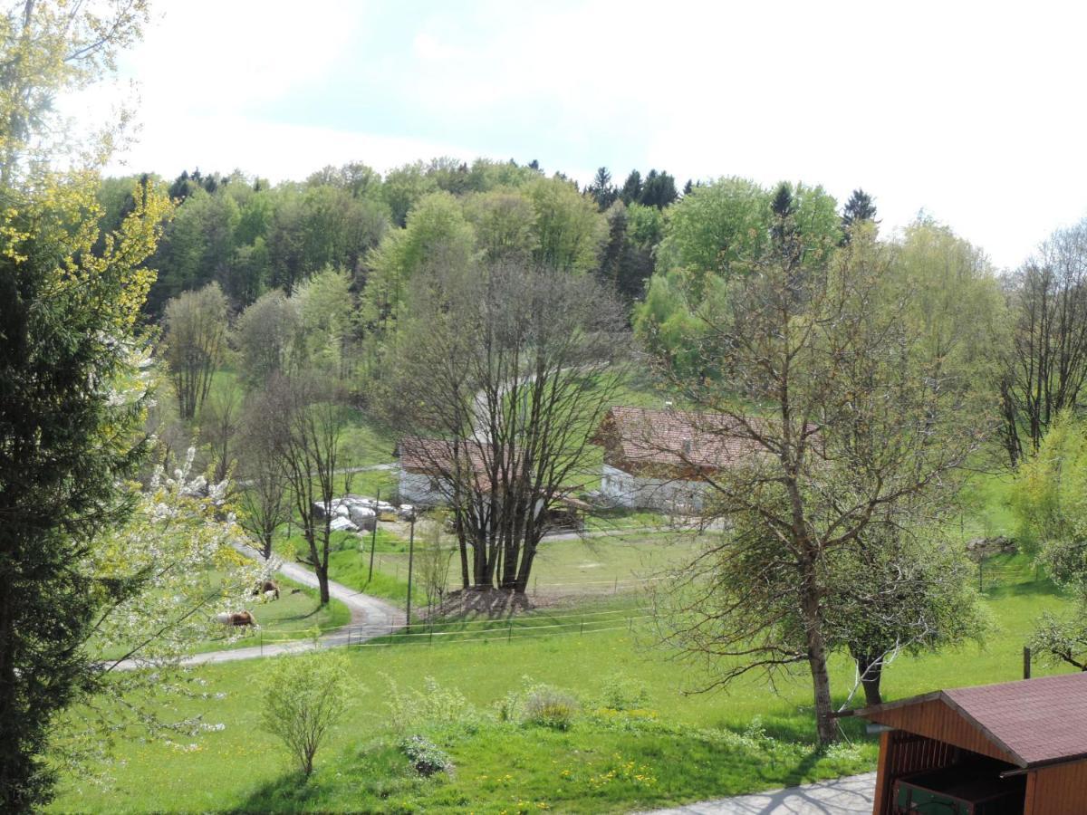 Ferienwohnung Waldoase Am Fuchsenstein ชปีเกอเลา ห้อง รูปภาพ